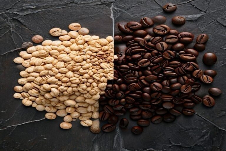 Café arábica vs robusta: diferencias que notarás en la taza