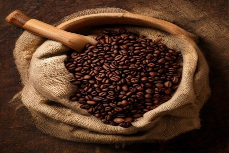 Cómo elegir café en grano recién tostado (guía para empezar)